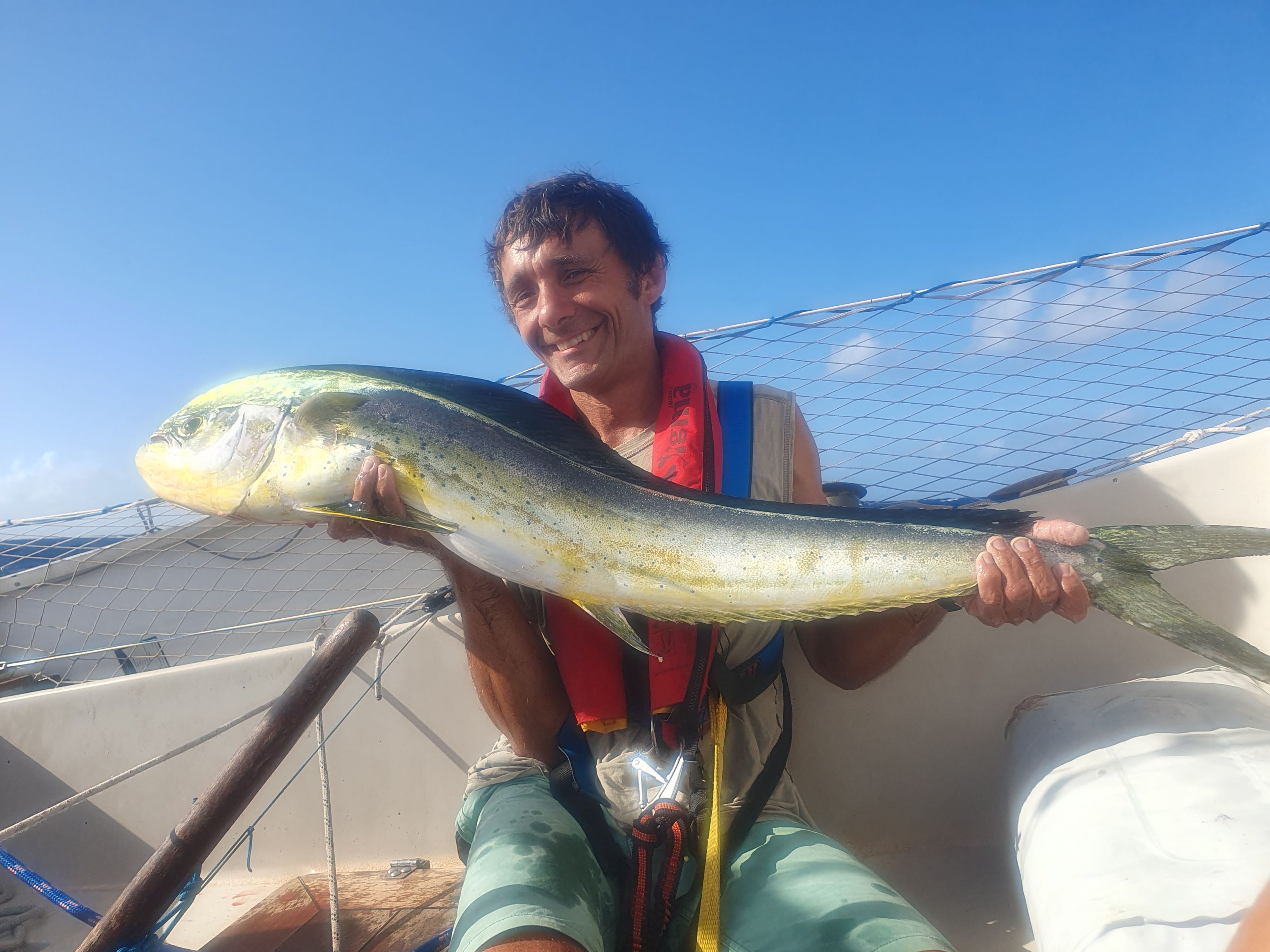 Mahi Mahi