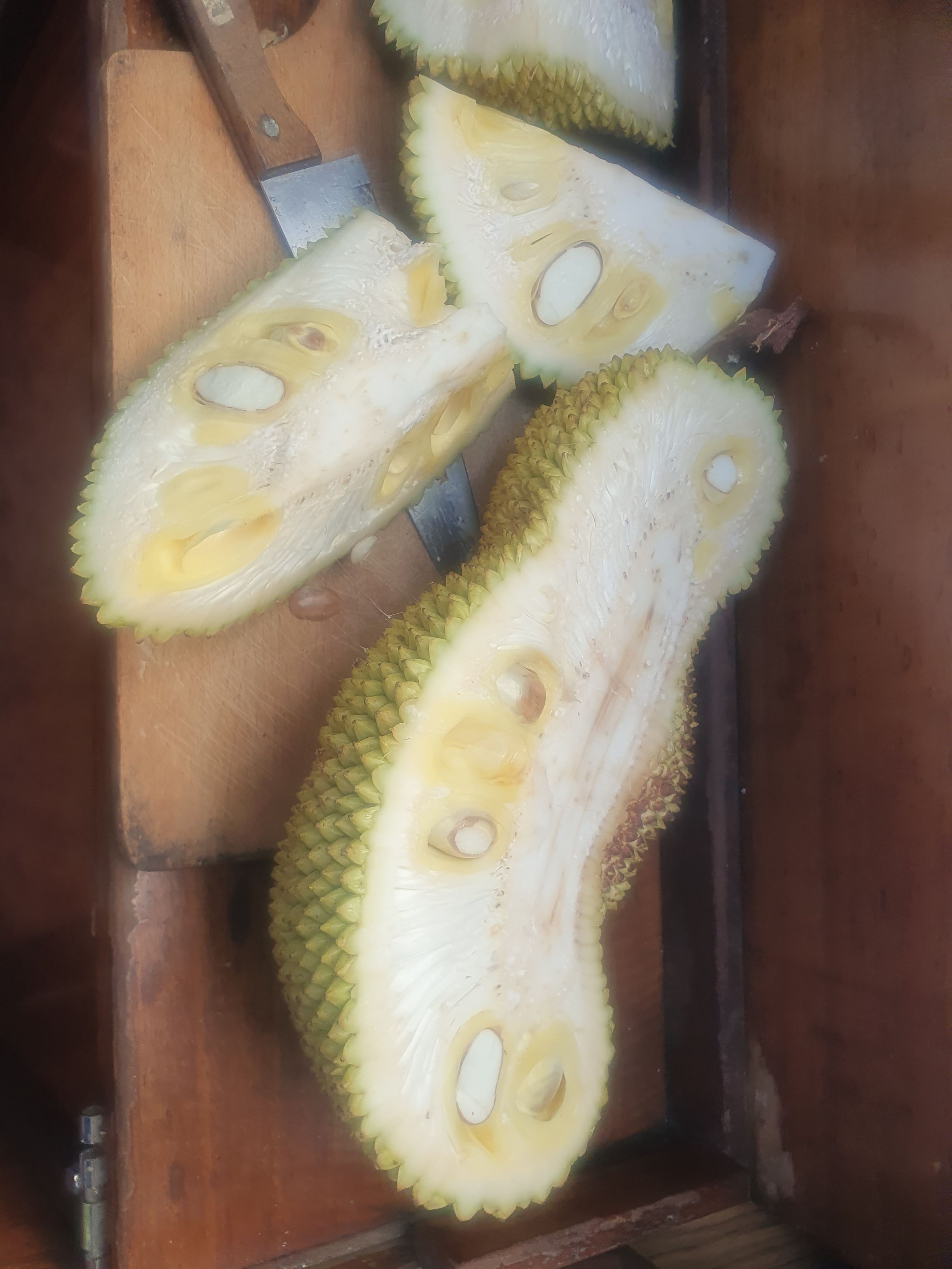 Jackfruit